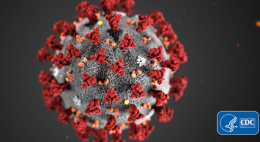 image of the coronavirus from the CDC