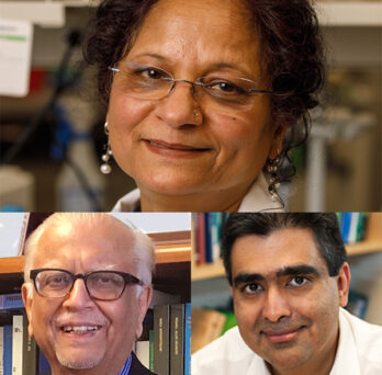 photos of the three researchers in their labs 