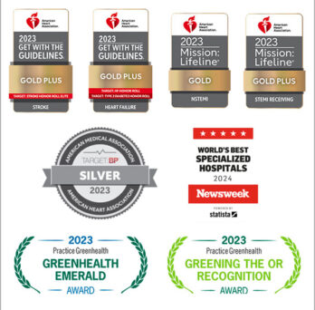images of the various gold, silver and green awards and badges referred to in the news item 