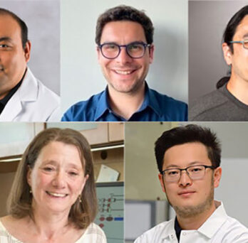 photos of five researchers of different ethnicities 