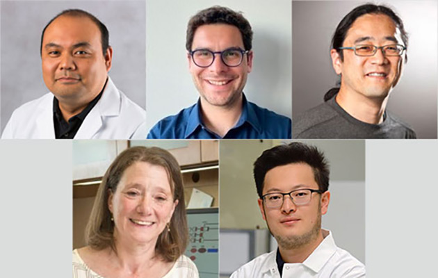 photos of the five researchers